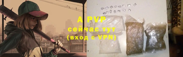 стафф Надым