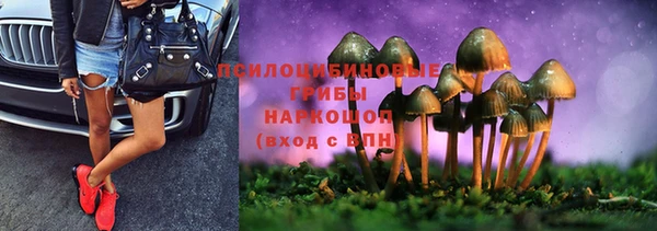 стафф Надым