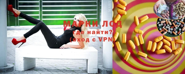 стафф Надым