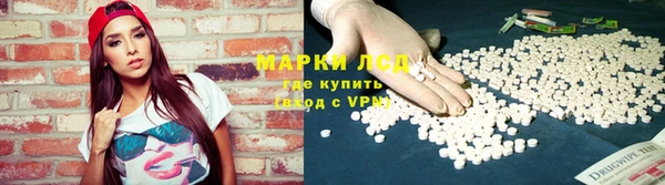 стафф Надым