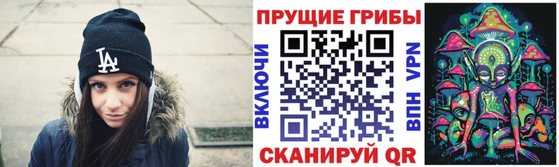 Галлюциногенные грибы Psilocybe  закладка  Зубцов 